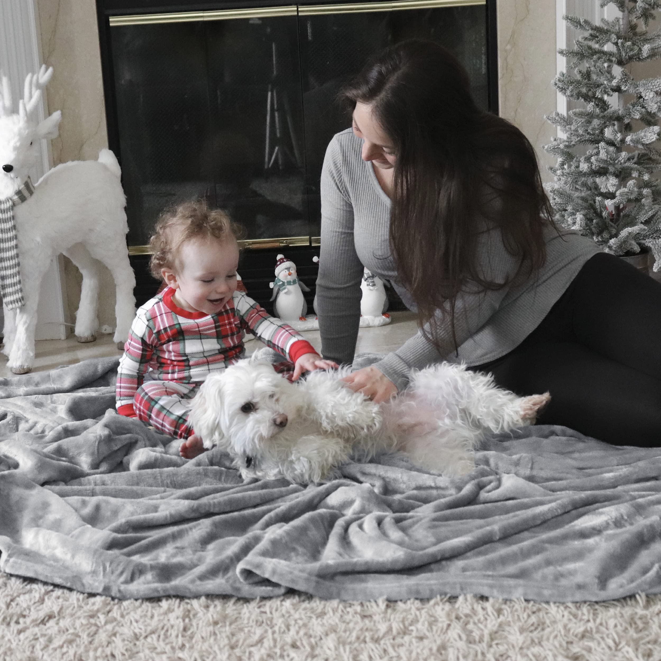 Bedsure Fleece Throw Blanket 50x60 Inches - Ultra Soft Lightweight Microfiber Blanket for Couch, Sofa, Bed, Travel & Camping - Cozy Grey Blanket Perfect for Lounging, Movie Nights and Outdoor Adventures