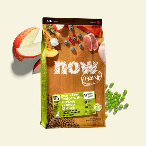 Now Fresh Turkey, Salmon & Duck Recipe Small Breed Puppy Dry Dog Food - Grain-Free, High-Protein Kibble for Toy & Mini Dogs - Perfect for Active Puppies, Training Treats & Sensitive Stomachs