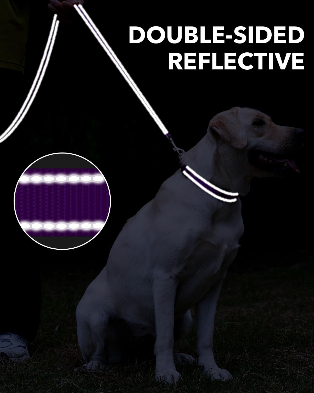 Premium Reflective Dog Leash for Medium & Large Breeds (20-150 lbs) - 4ft Neoprene-Padded Handle & Double-Sided Safety Design - Durable 1-Inch Wide Purple Leash for Walking, Running & Nighttime Visibility