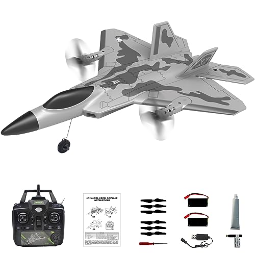 F-22 Gray