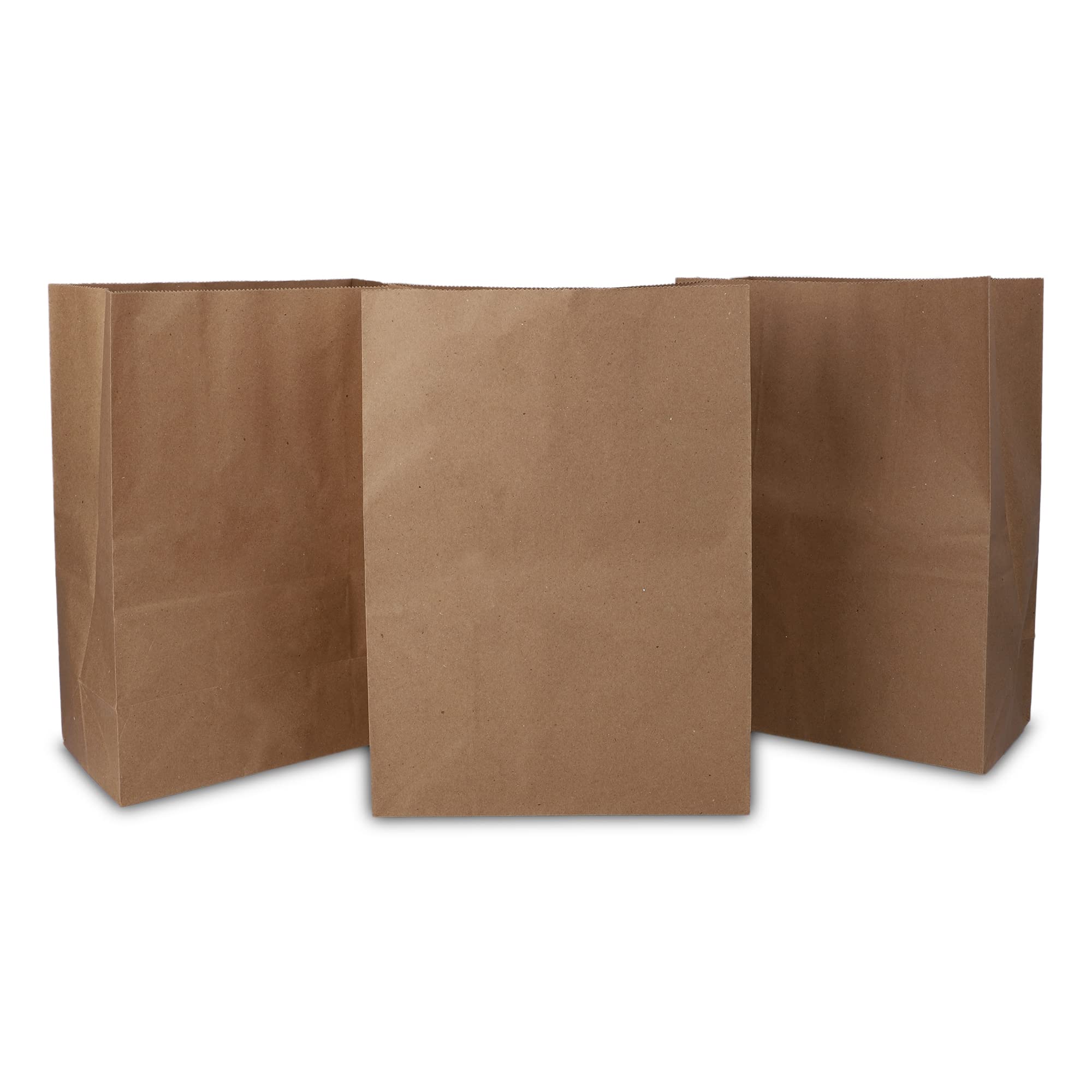 Eco-Friendly Brown Kraft Paper Bags - 10x5x14 Inches, Pack of 15 | Recycled Carry/Gift/Grocery Bags for Shopping, Parties & Sustainable Packaging