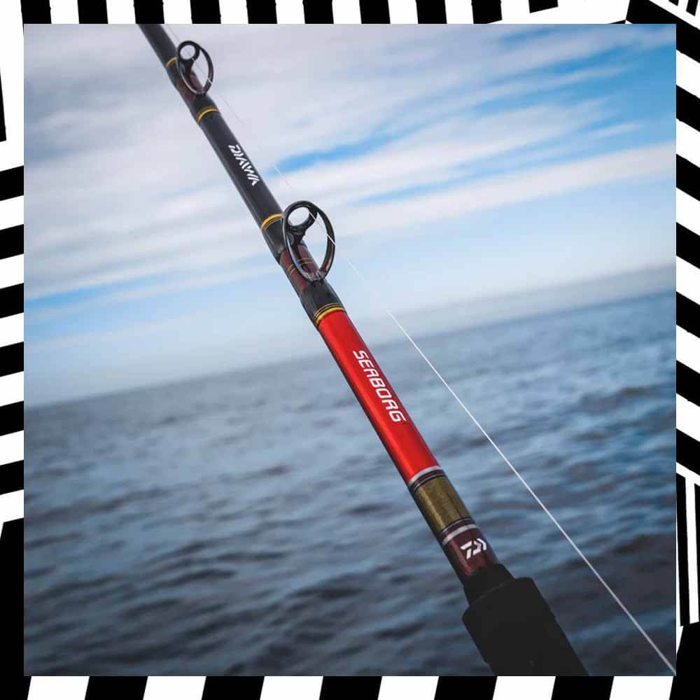 Daiwa Seaborg Dendoh Deep Drop Fishing Rod - Saltwater Offshore Trolling Rod for Bottom Fishing & Deep Sea Angling - Perfect for Offshore Fishing Trips & Deep Water Game Fish