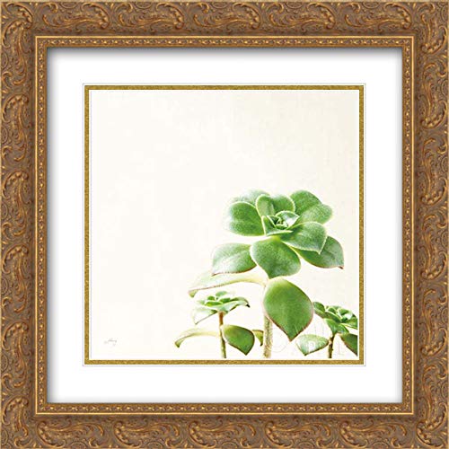 Felicity Bradley 'Succulent Simplicity' 15x15 Inch Gold Ornate Framed Art Print with Double Mat - Neutral Botanical Wall Decor for Living Room, Bedroom & Office