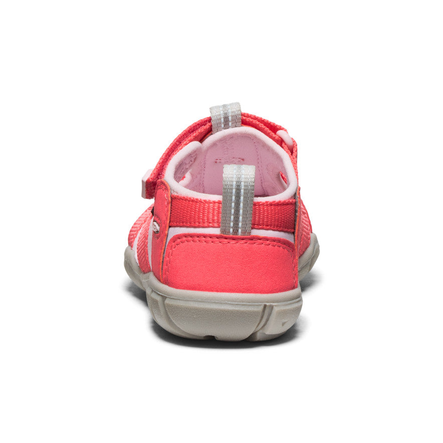 Little Kids' Seacamp II CNX Water Shoes | Dubarry/Giggle Pink | Beach, Pool & Outdoor Play for Toddlers