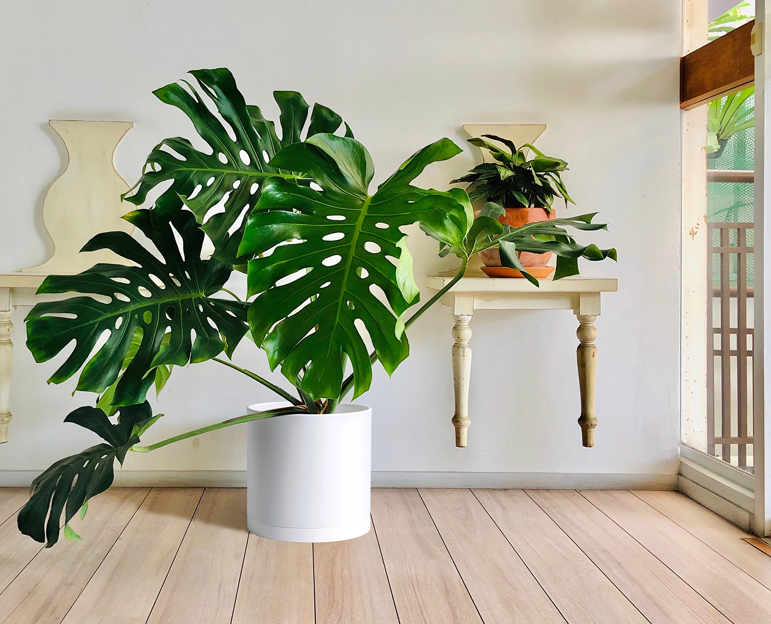 14 Inch White Plastic Planter Pots with Drainage Hole & Saucer - D'vine Dev Flower Pots for Indoor Outdoor Plants - Perfect for Home Garden, Patio, Balcony Decor