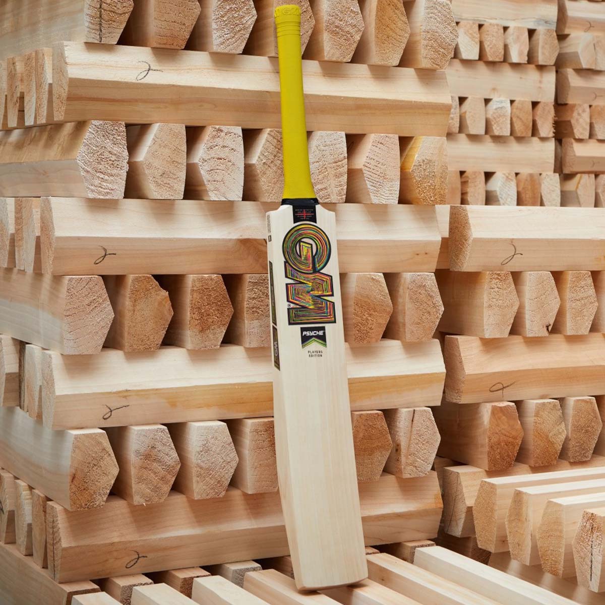 Gunn & Moore Ben Duckett Players Edition Cricket Bat 2025 | Premium English Willow | Lightweight & Durable | Perfect for Professional Matches & Training Sessions