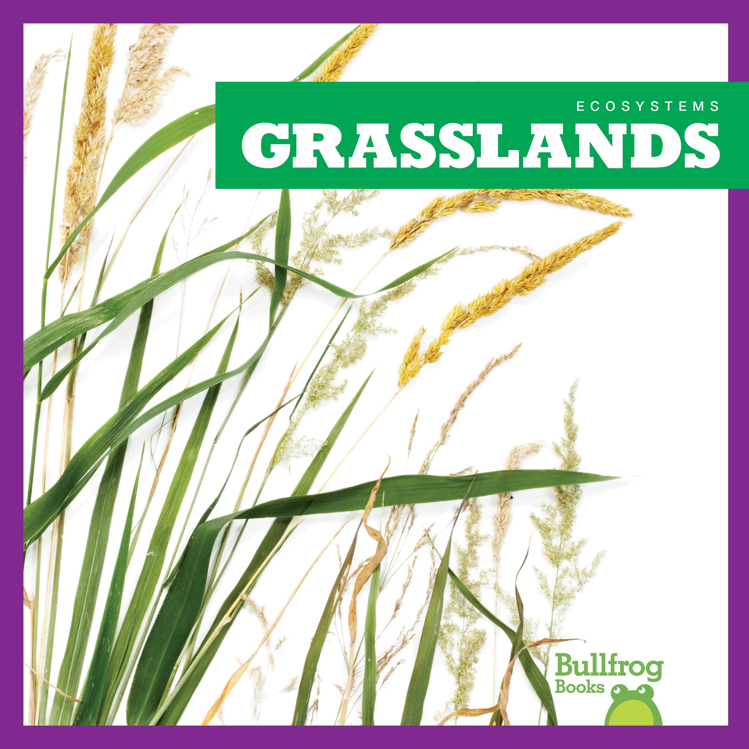 Grasslands Ecosystem Book for Kids | Bullfrog Books | Learn About Grassland Animals & Plants | Perfect for Homeschooling & Classroom Learning