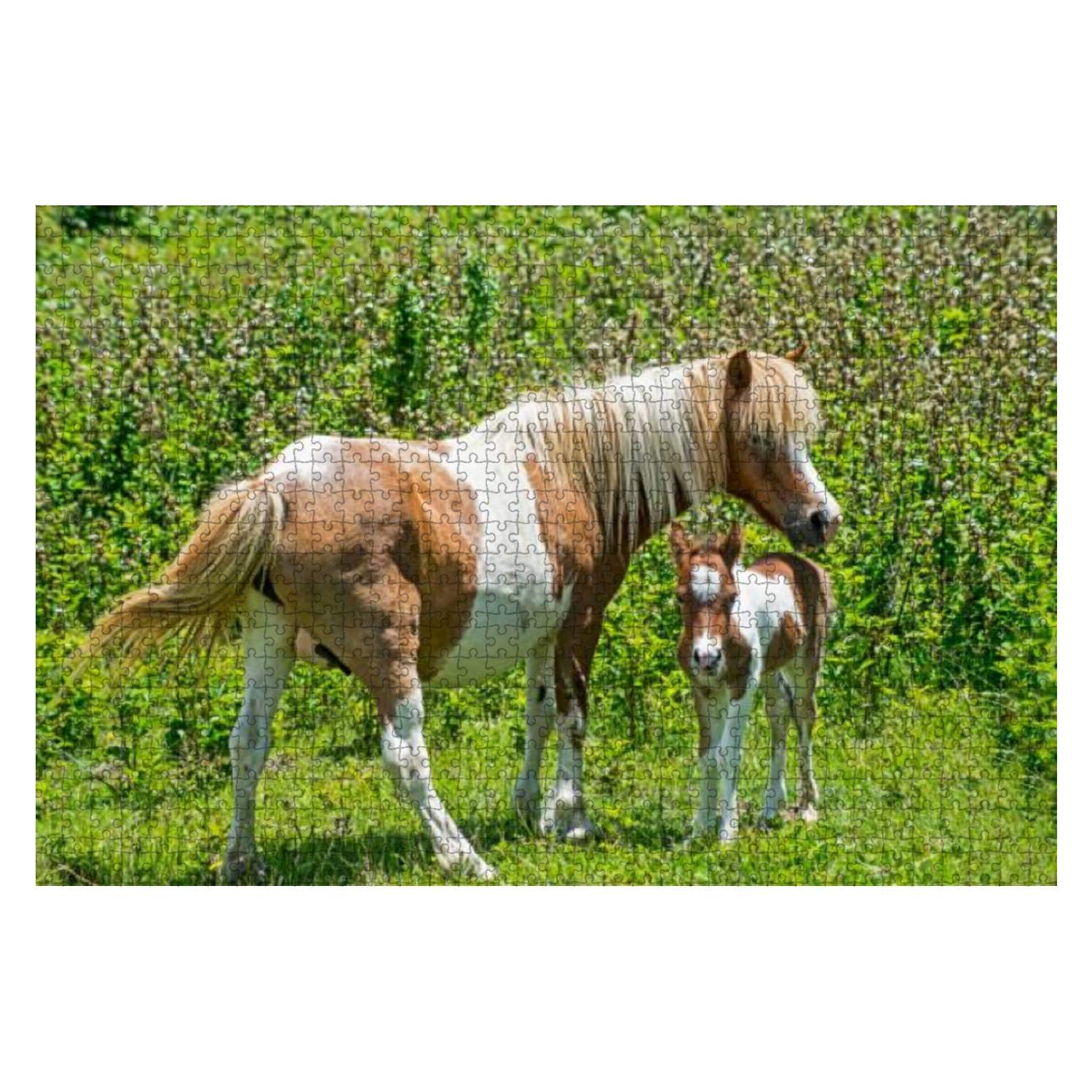 1000 Piece Wooden Jigsaw Puzzle - Shetland Pony & Baby Colt on Grayson Highlands Landscape | Educational Puzzle for Kids & Adults | Stress Relief Game | Perfect for Family Game Night, Classroom Activities & Relaxation Therapy