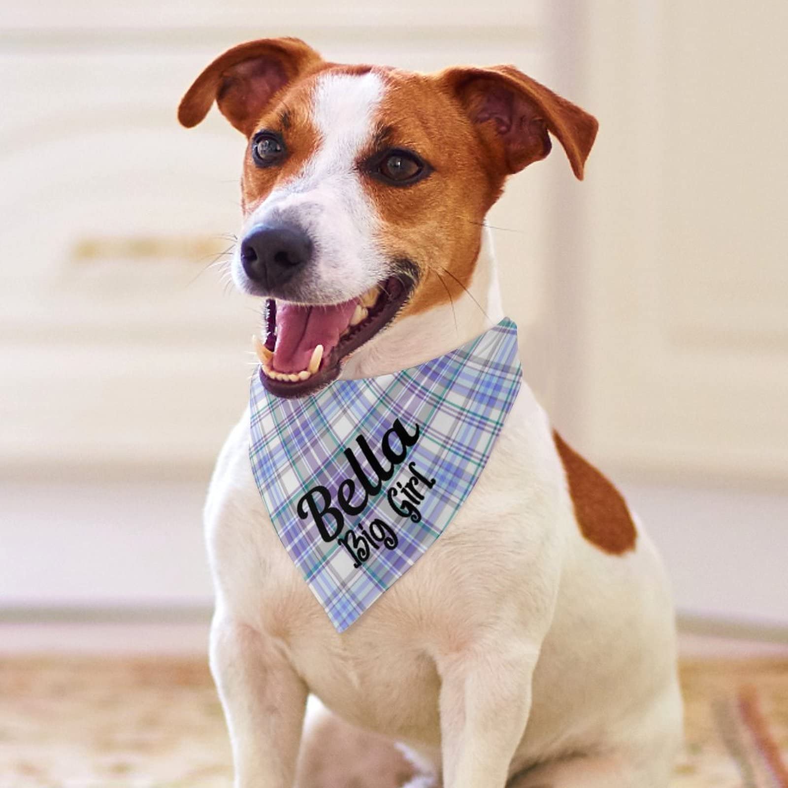 Custom Personalized Dog Bandanas for Boys & Girls - Plaid Cat Bandana Scarf, Triangle Bib Kerchief for Puppies & Small Dogs (Floral & Plaid Patterns) - Perfect for Pet Birthdays, Photo Shoots & Daily Walks