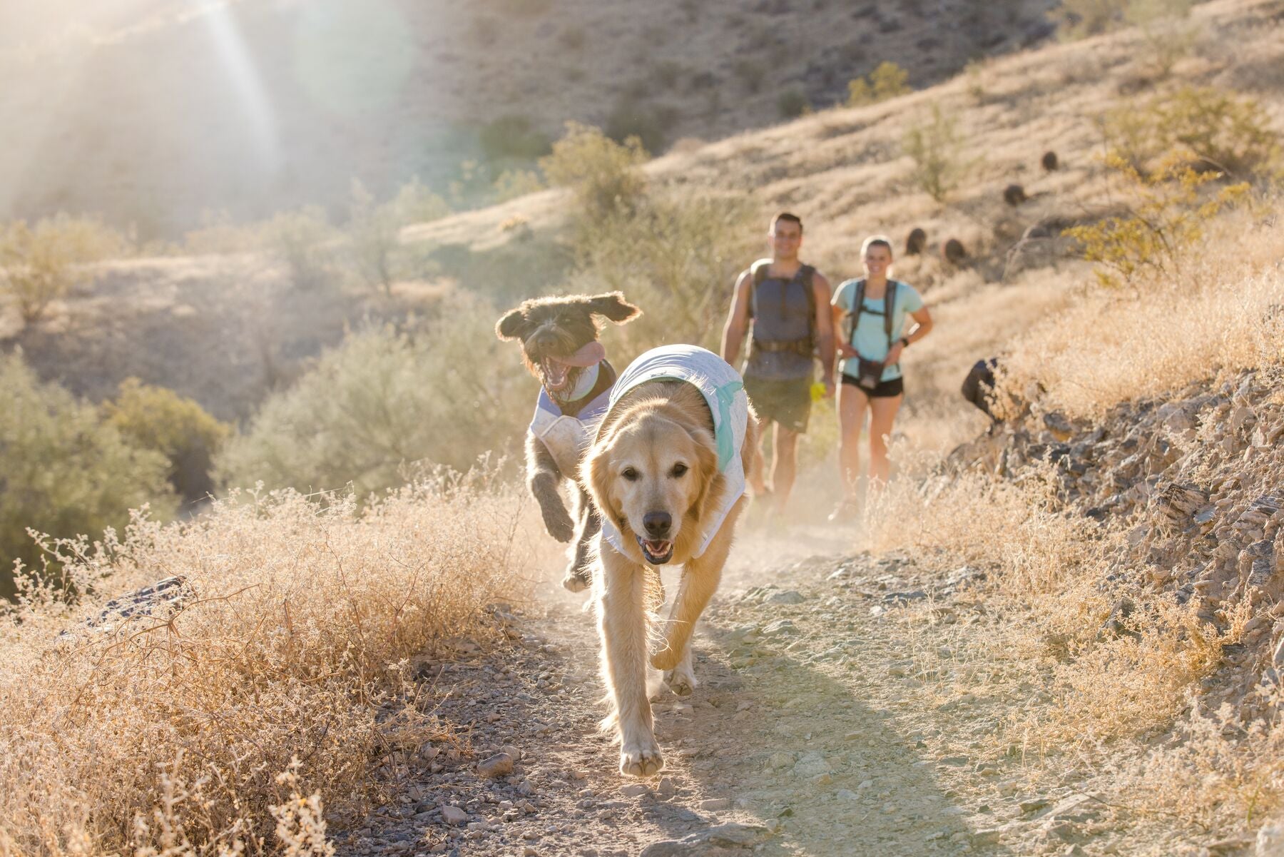 Ruffwear® Swamp Cooler Vest - Sage Green Cooling Dog Vest for Hot Weather | Outdoor Hiking, Running & Summer Adventures