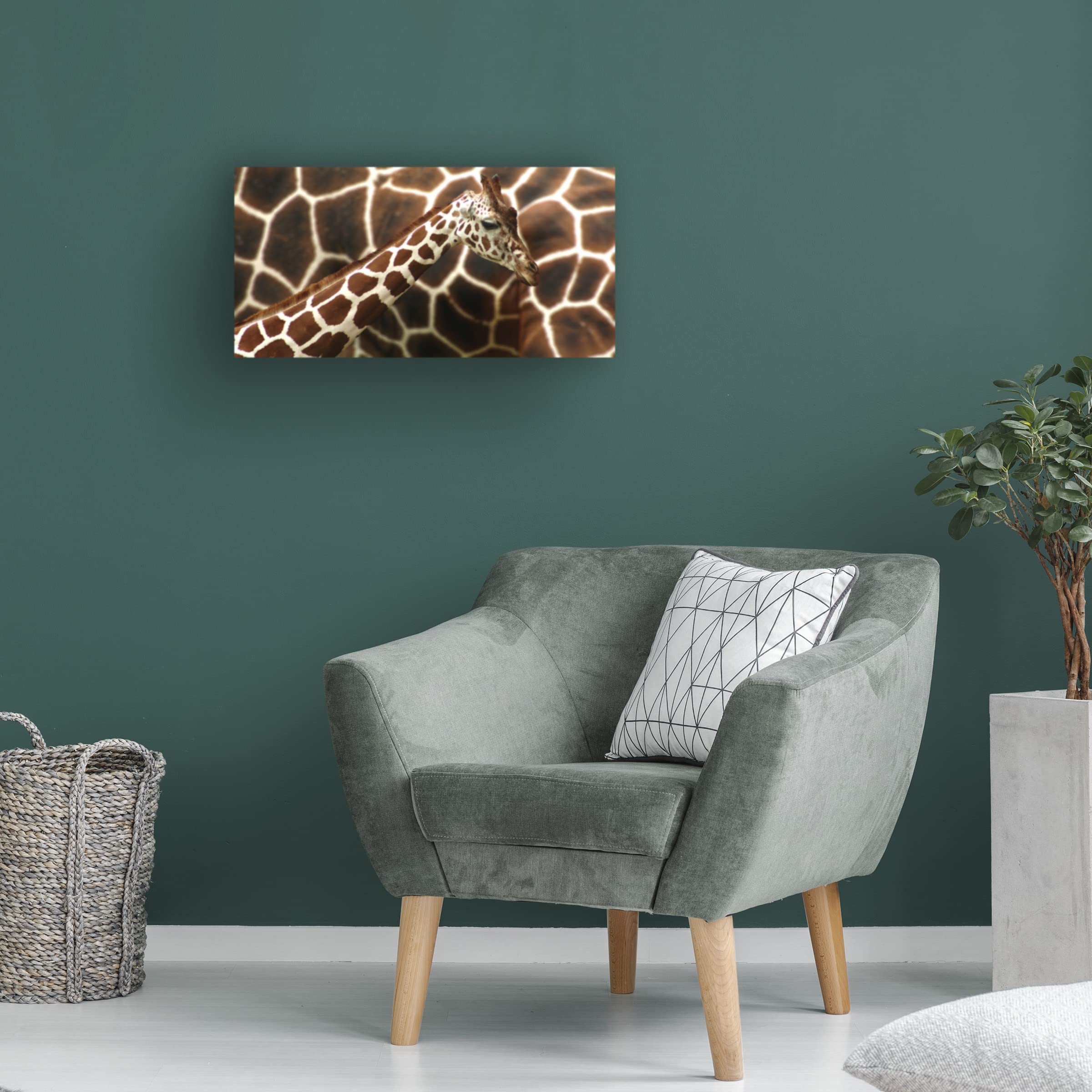 Trademark Fine Art 'Giraffe In Front Of Mum' Canvas Wall Art Print by Günther Gawlik - Modern Wildlife Nursery Decor, Living Room & Bedroom Wall Decor