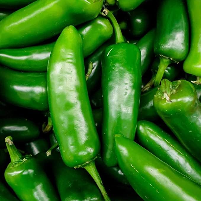 Sixth Day Snacks Mild Salsa Verde (16 oz) - Gluten Free, Vegan, Low Sodium, Fresh Ingredients - Perfect for Chips, Tacos, Nachos & Healthy Snacking