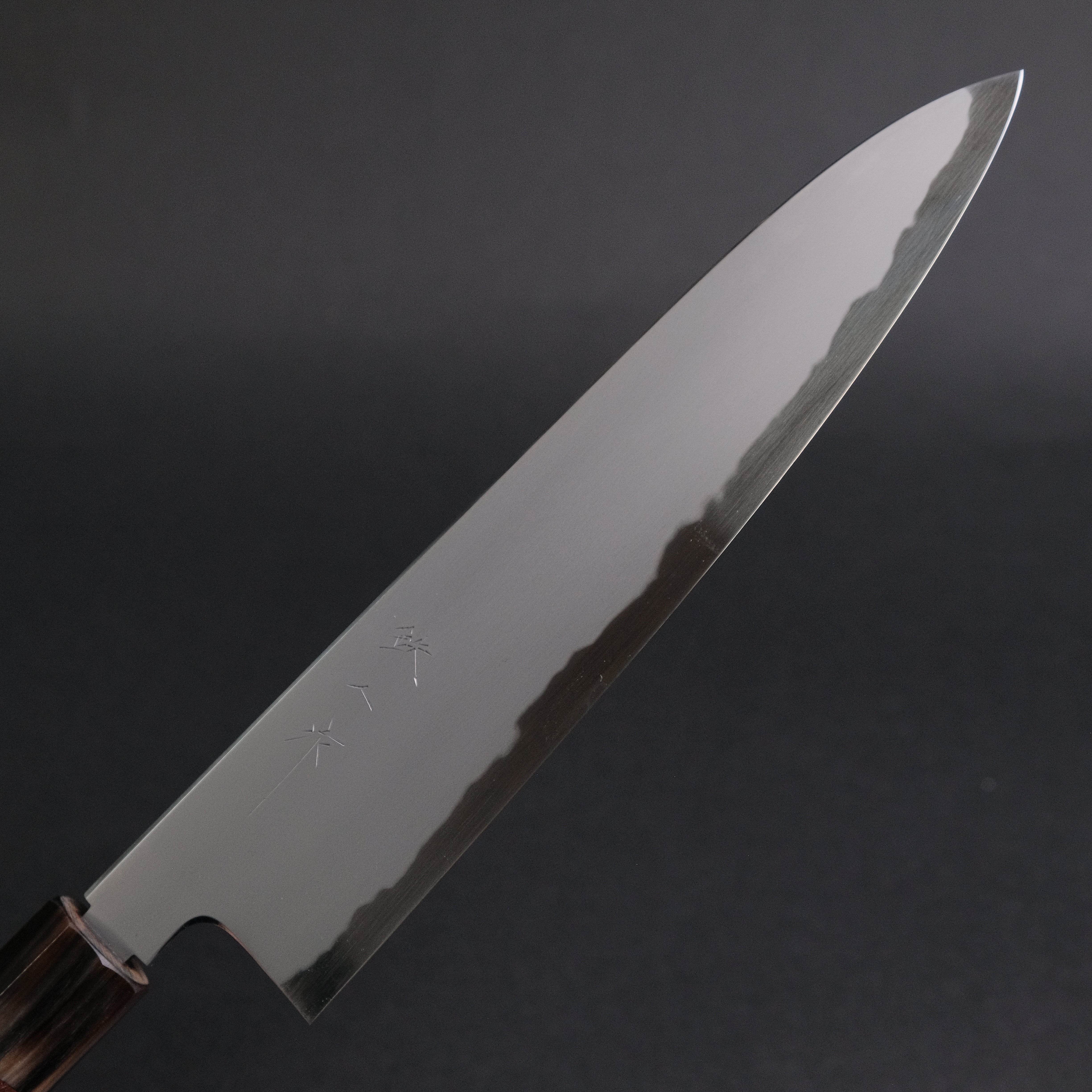 Premium Tetsujin Blue #2 Kasumi Gyuto 240mm Japanese Chef Knife with Taihei Rosewood Handle - Perfect for Sushi, Meat Slicing & Professional Kitchen Use