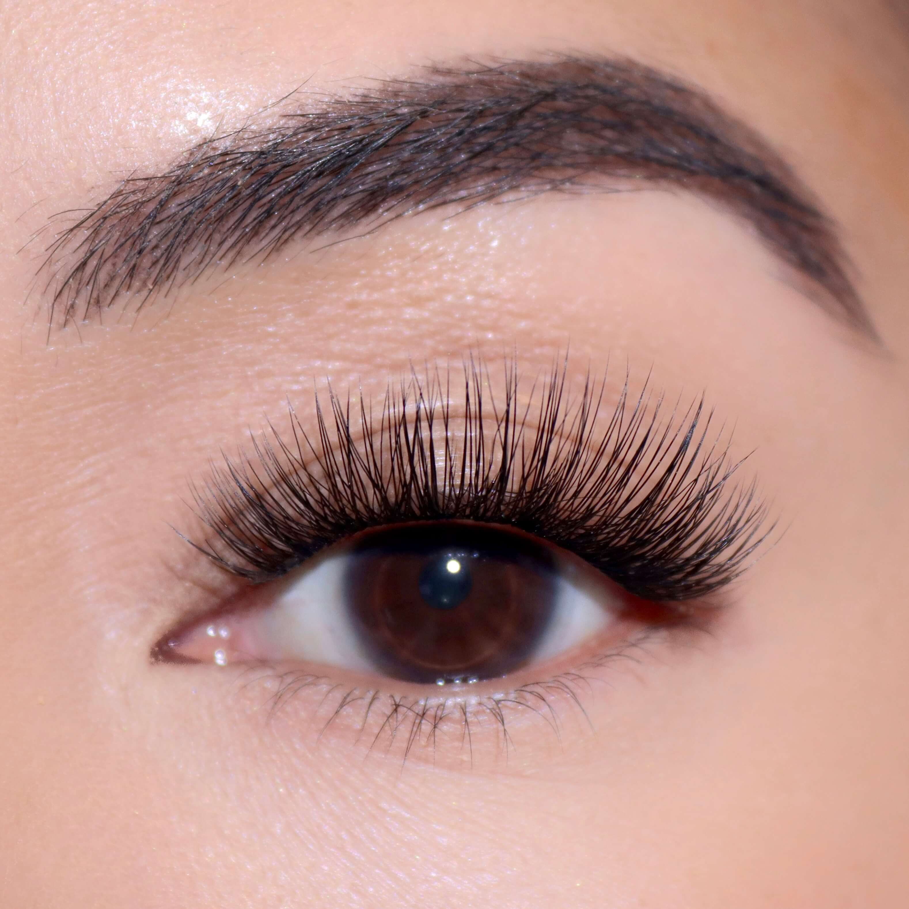 Professional Curated Eyelash Extension Kit - Natural & Dramatic Looks for Every Occasion | Perfect for Bridal, Party & Everyday Wear