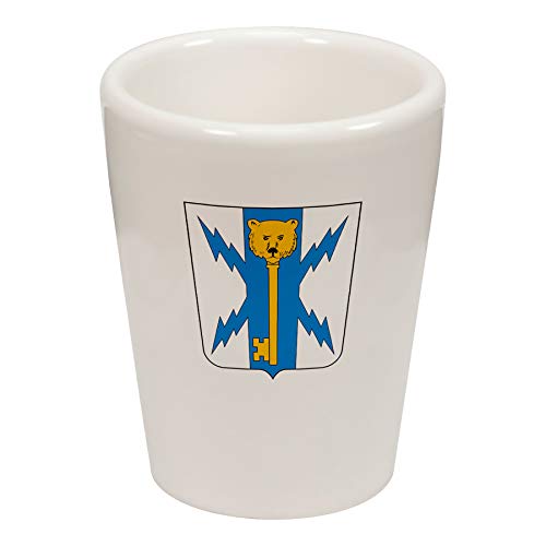 US Army 309th Military Intelligence Battalion COA