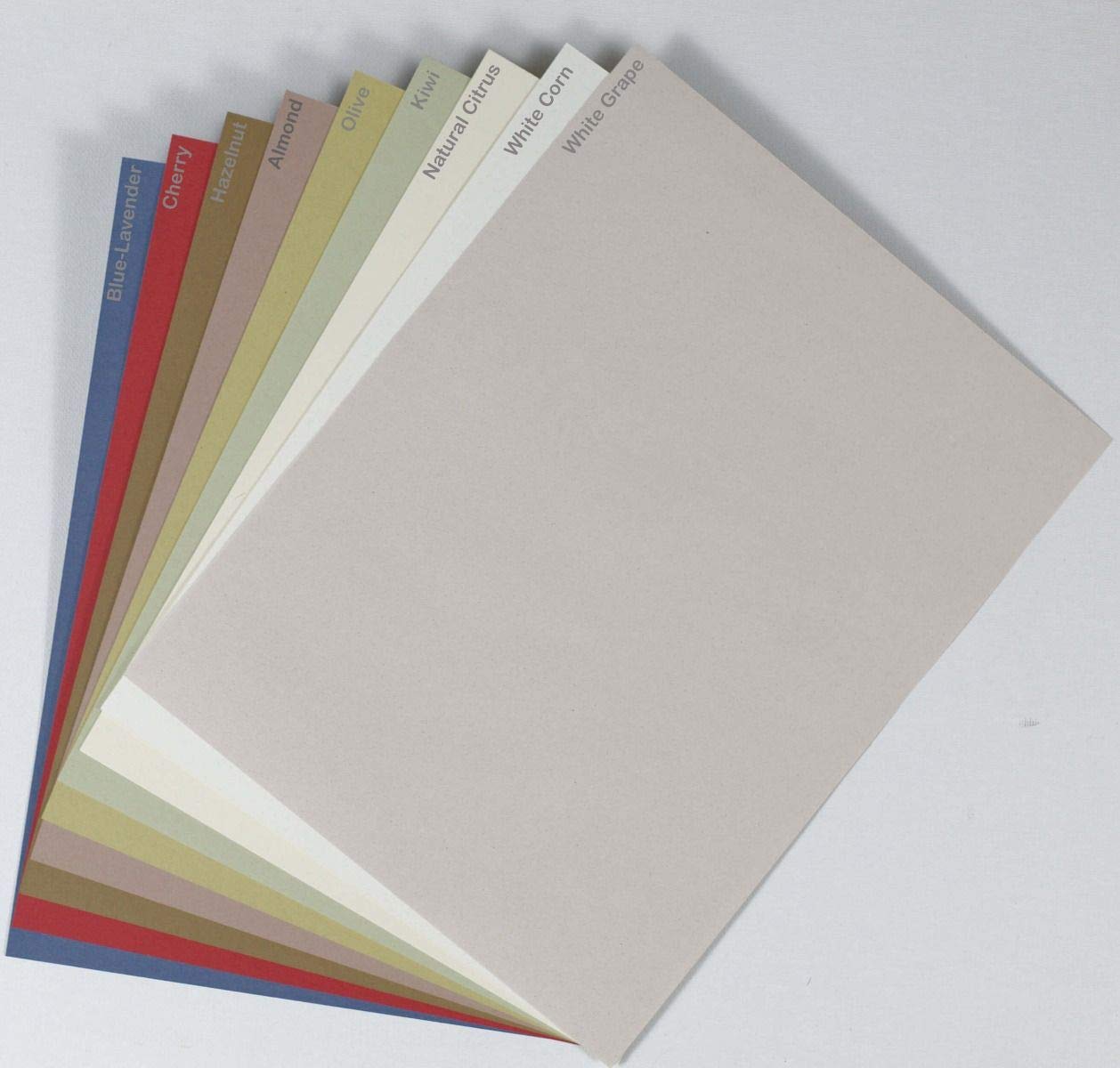 Premium 92lb Cover Cardstock - 8.5x11 Letter Size - 25 Sheets for Crafting & Printing