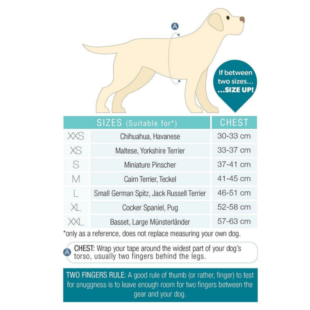 Barcelona Air Vest for Dogs - Breathable & Lightweight Dog Cooling Vest for Summer - Perfect for Outdoor Walks, Hiking & Beach Trips