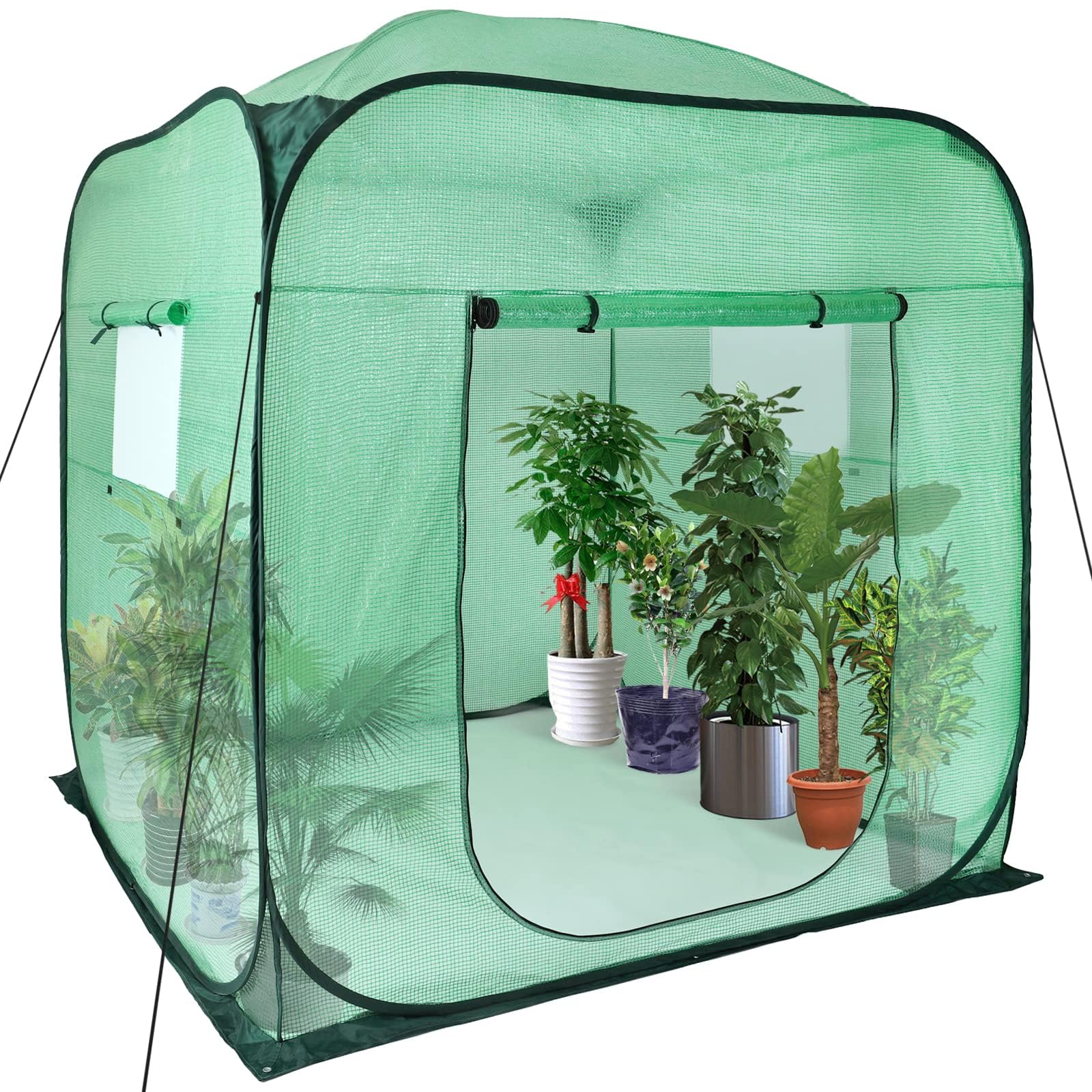 Upgraded Pop-Up Plant Greenhouse for Outdoors - 96