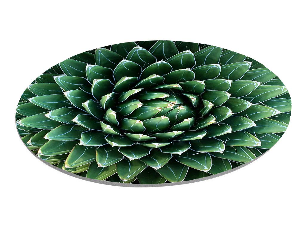 Non-Slip Green Cactus Round Mouse Pad - Seamless Gaming Mouse Mat for PC, Laptop, Office & Home Use