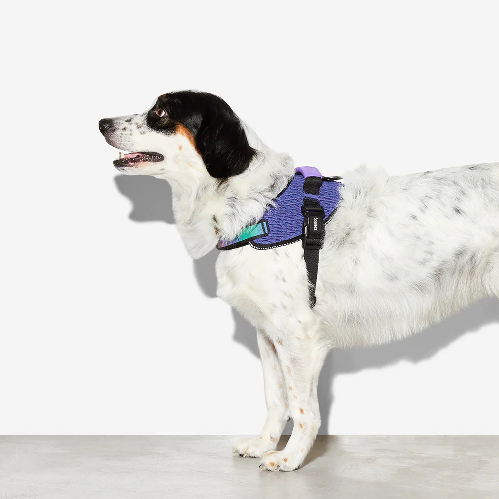Wicked FlyHarness Zee.Dog Dog Harness - Adjustable & Breathable Pet Vest for Small, Medium & Large Dogs - Perfect for Walking, Running & Outdoor Adventures