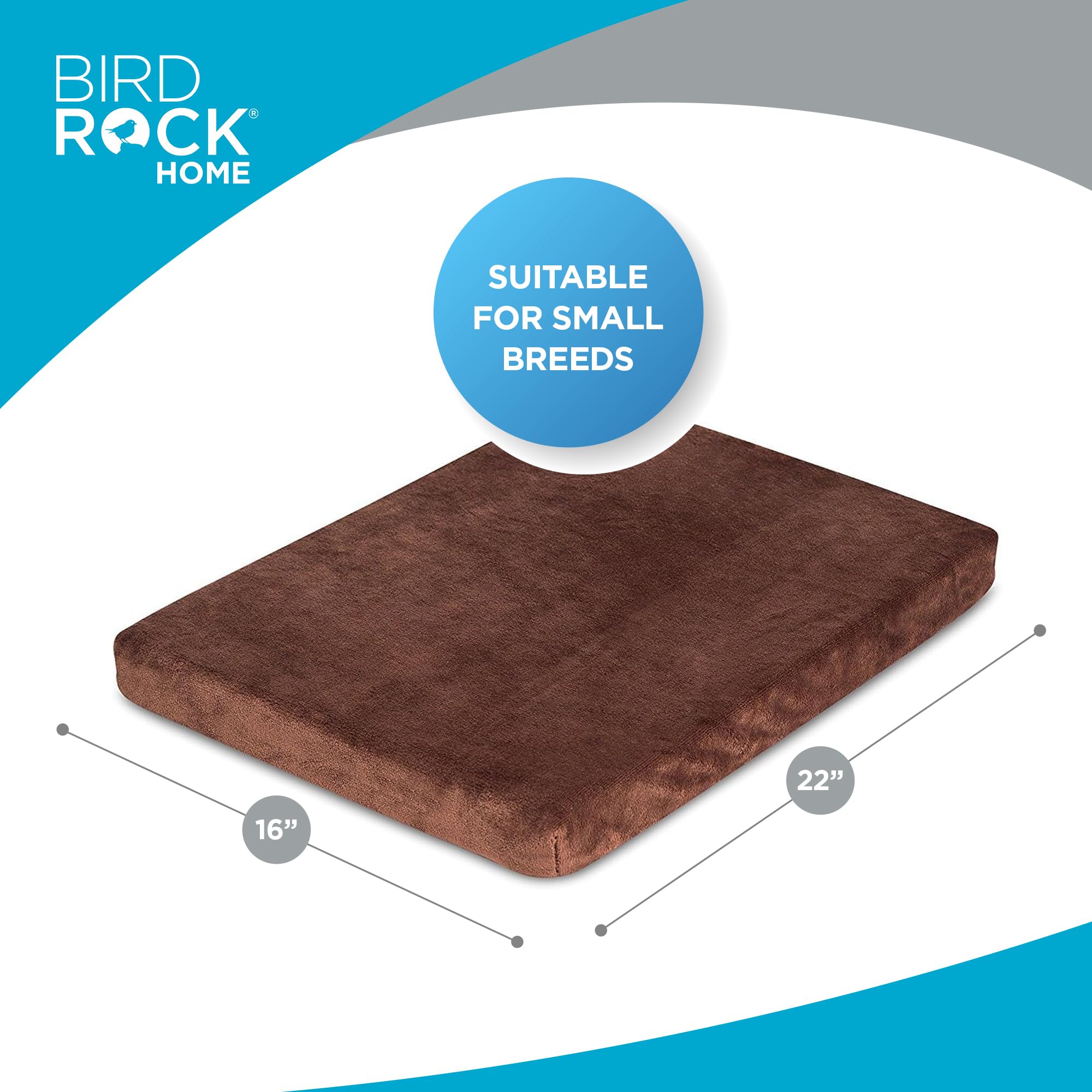 BIRDROCK HOME 2