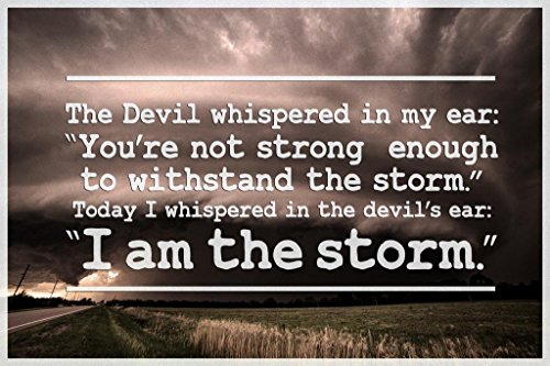 I Am The Storm Quote | 4069