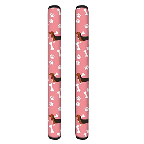 Dachshund Dog Paw Bones