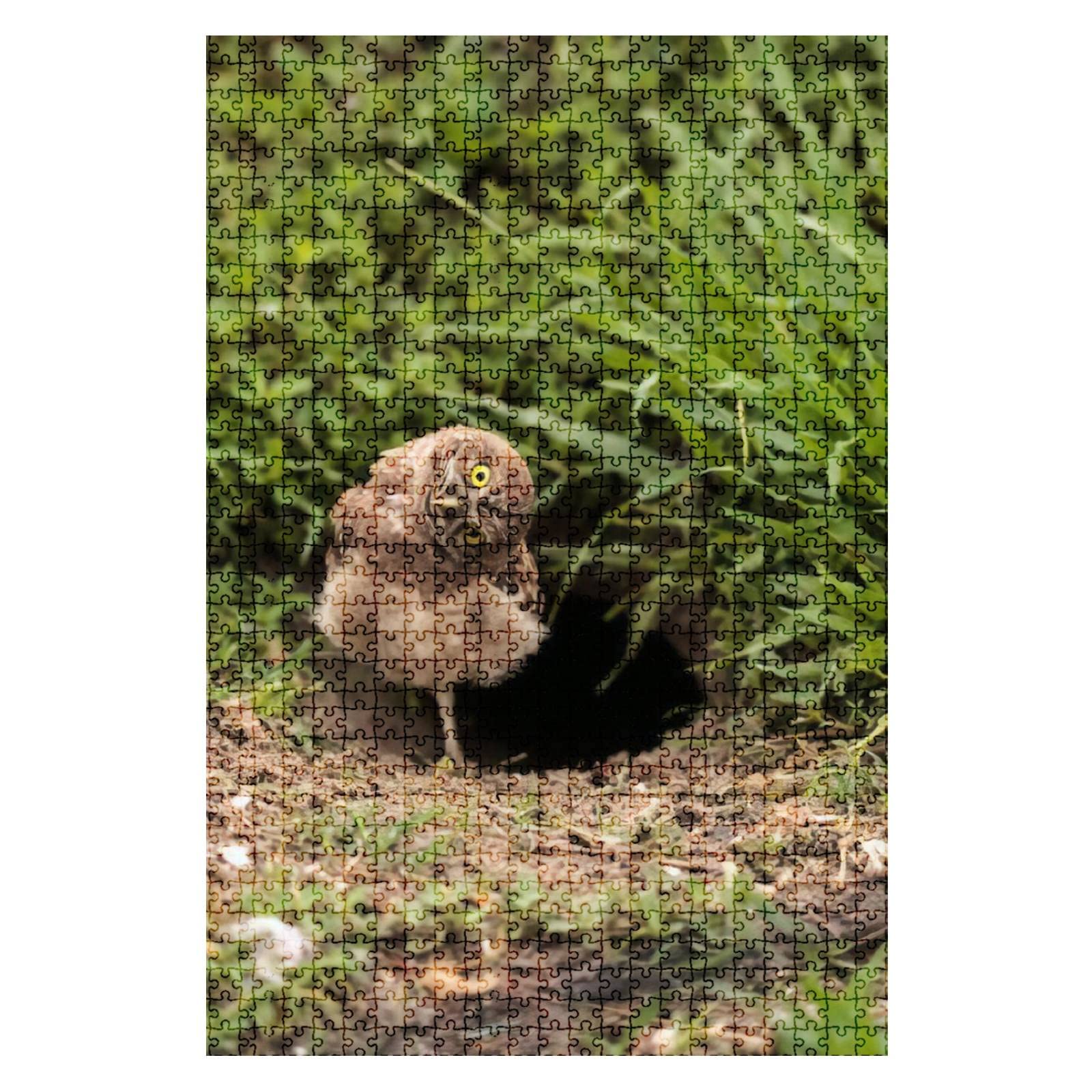 1000 Piece Jigsaw Puzzle - Funny Burrowing Owl (Athene cunicularia) - Challenging Adult Puzzle, Educational Toy & Gift for Kids - Perfect for Family Game Night, Classroom Activities & Stress Relief