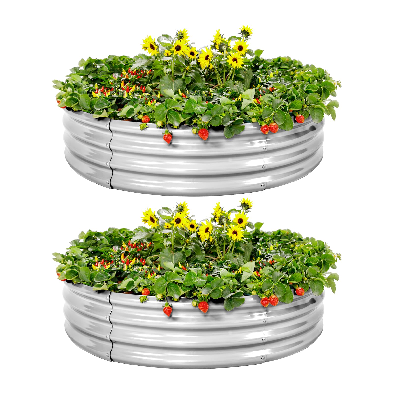 Galvanized Raised Garden Bed Kit - 2 Pack 4x4x1ft Outdoor Planter Box for Vegetables, Herbs & Flowers | Durable Metal Garden Beds for Backyard, Patio & Urban Gardening | Easy Assembly & Rust-Proof Design