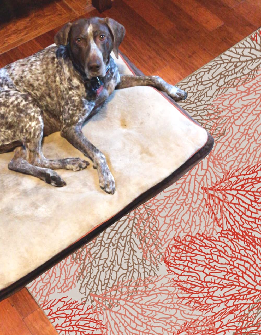 Linon The Anywhere Washable Rug - Varley Ivory/Coral 5' X 7' Area Rug - Machine Washable, Stain Resistant - Perfect for Living Room, Bedroom, or Dorm Decor