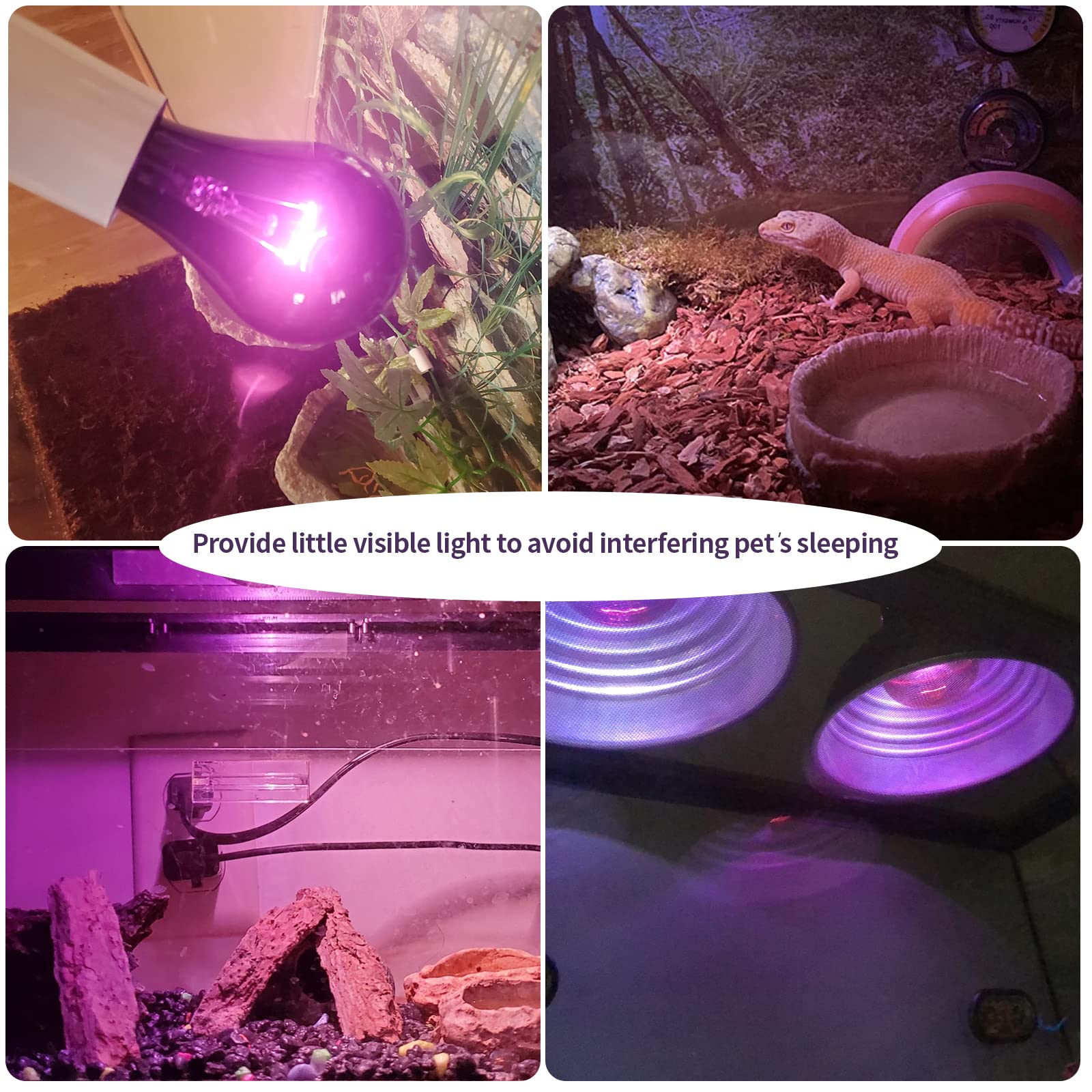 AOMRYOM 75W 2 Pack Reptile Heat Lamp - Infrared Basking Bulb & Moonlight Night Heating Light for Lizards, Turtles, Snakes & Amphibians - Perfect for Terrariums, Vivariums & Reptile Habitats