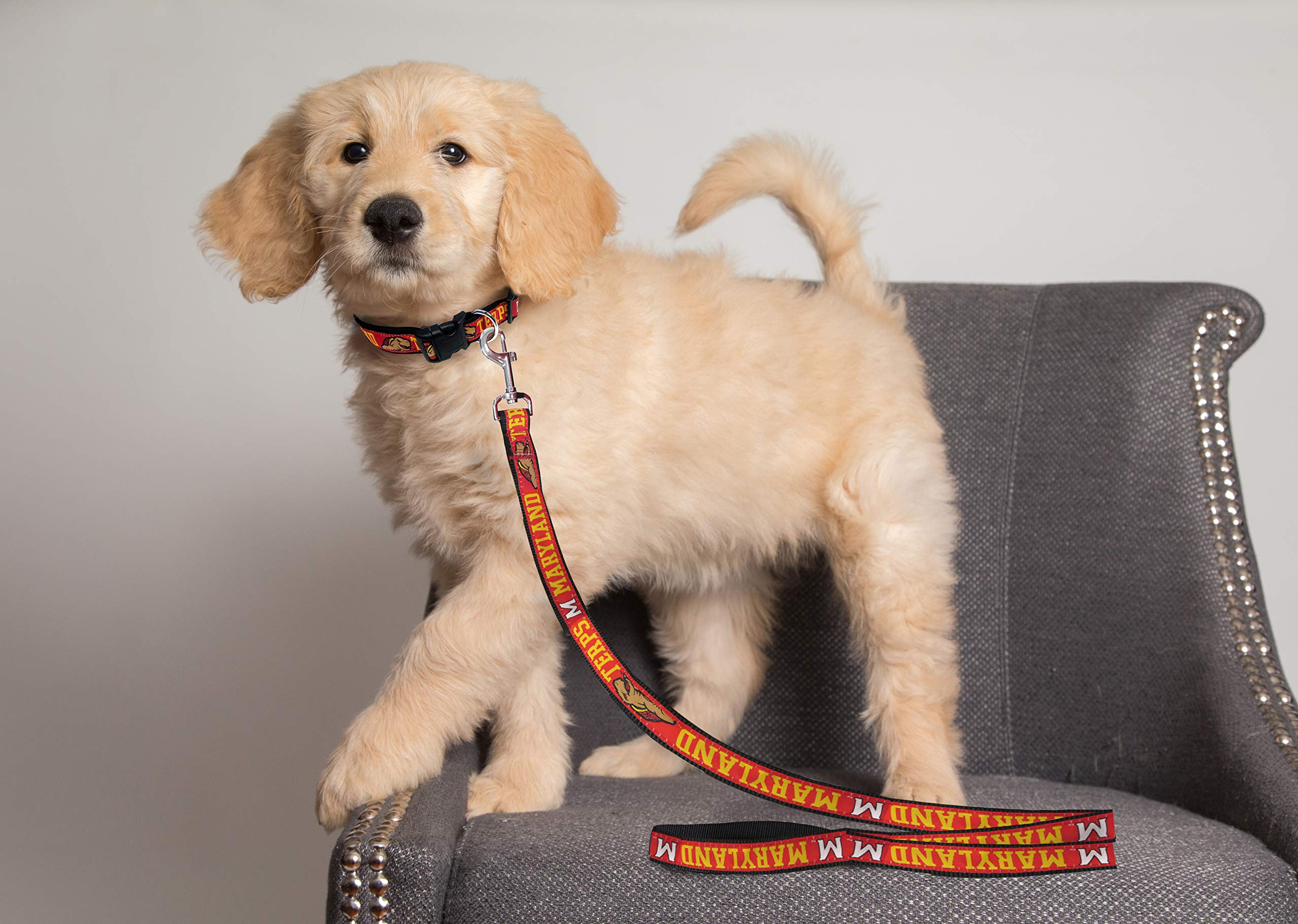 NCAA Licensed Maryland Terrapins Pet Leash - Large, Durable & Colorful Dog & Cat Leash for Walking, Training & Outdoor Adventures