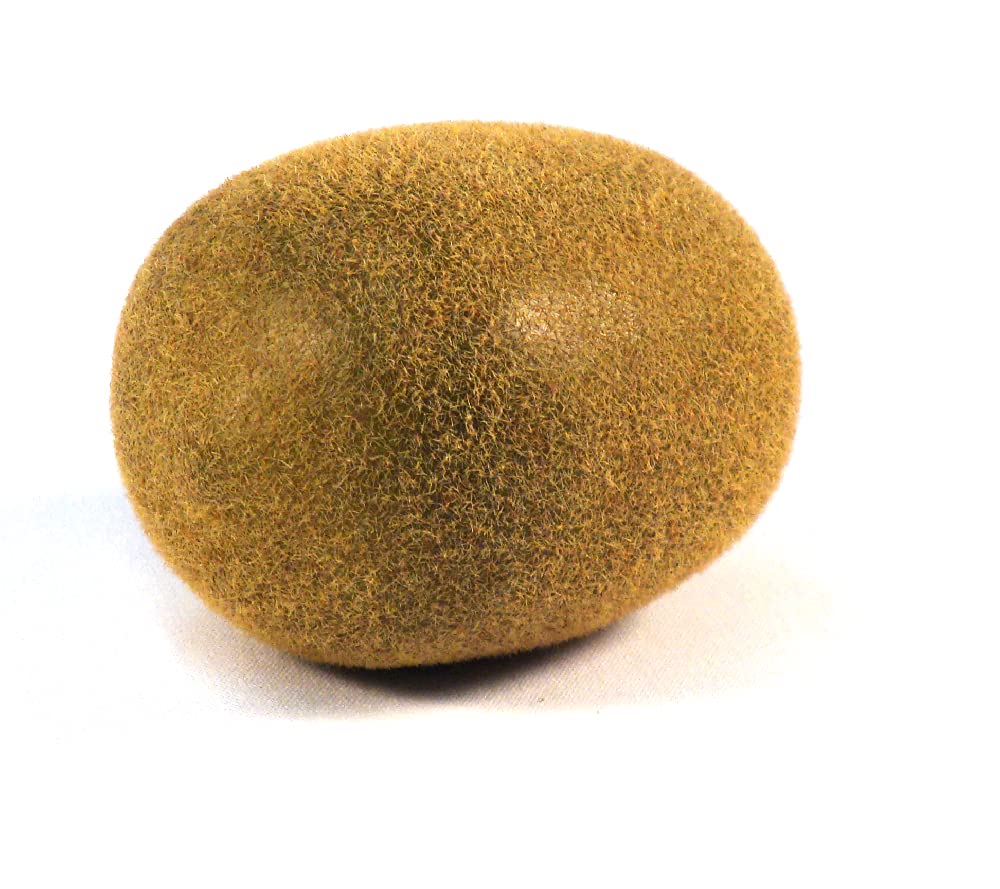 6-Pack Artificial Kiwi Fruit - Realistic Round Plastic Kiwifruit Decor for Vase Fillers, Table Centerpieces, and Home Decor