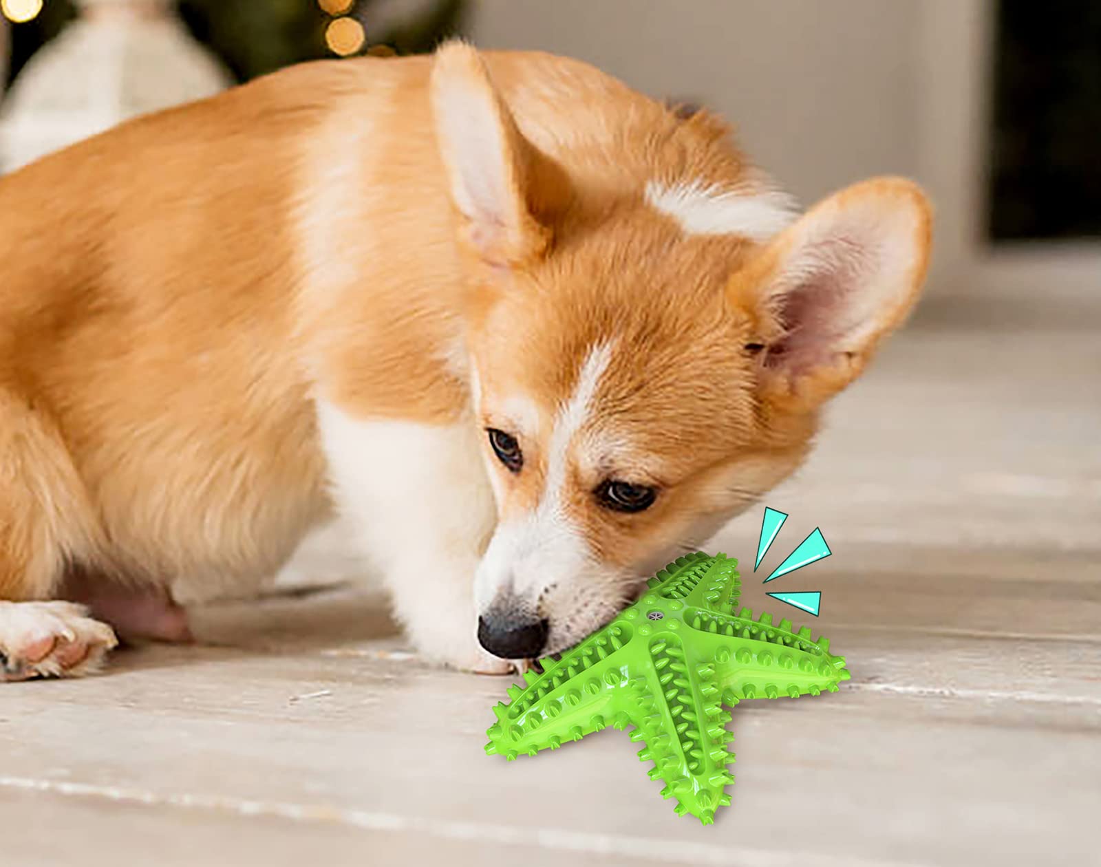 Acecy Durable Squeaky Interactive Starfish Dog Chew Toy - Puppy Teething & Teeth Cleaning Chew Toy for Small, Medium & Large Breed Dogs - Perfect for Playtime, Training & Dental Care