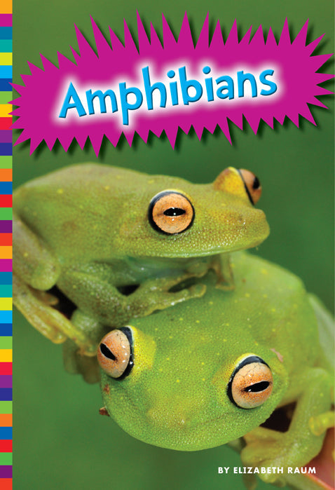 Amphibians for Sale - Live Pet Frogs, Toads & Salamanders | Perfect for Terrariums & Educational Projects