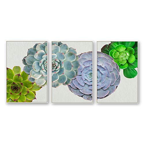 Plants-1909-n20