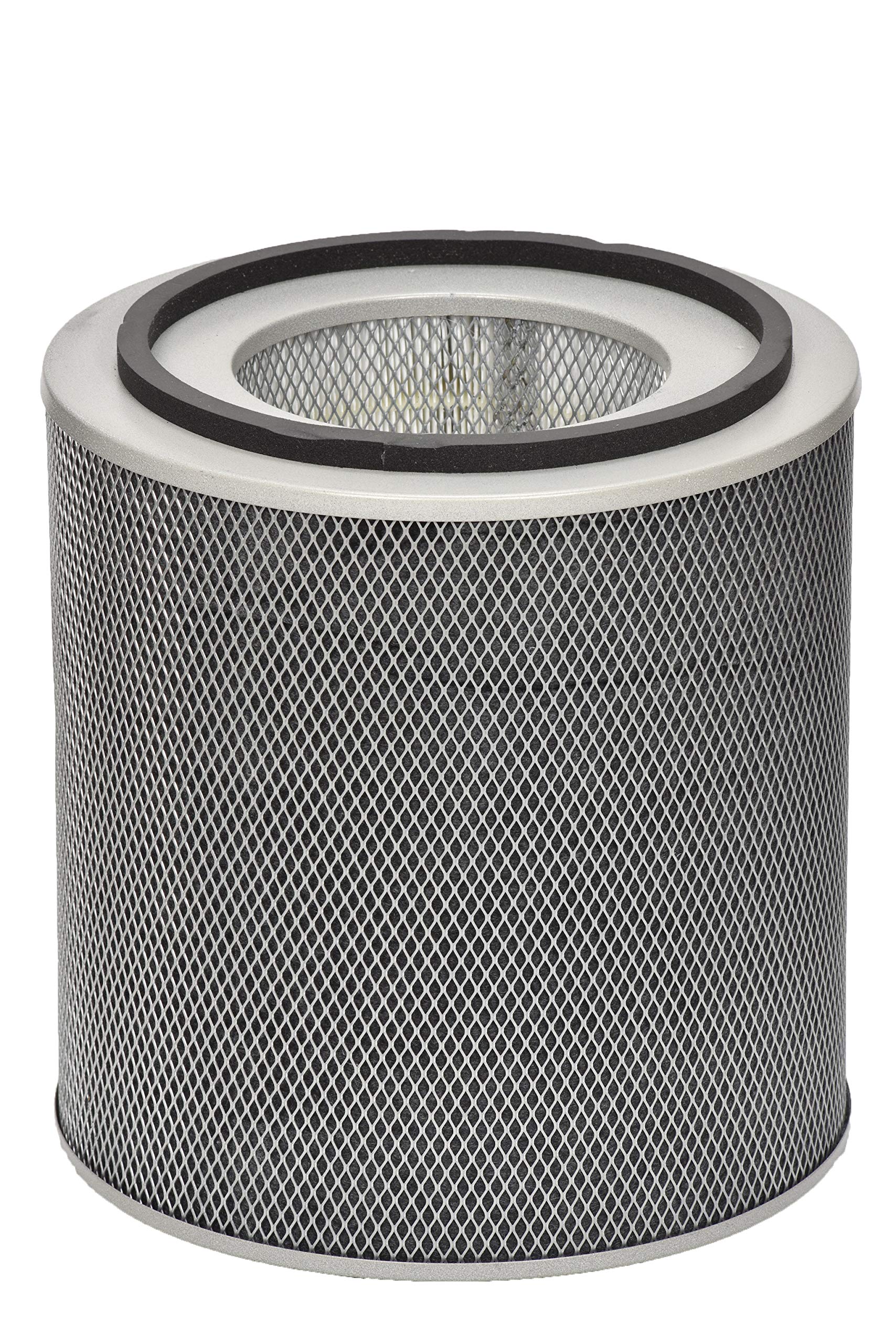 Austin Air FR400A Healthmate Standard Replacement Filter - Black | HEPA Air Purifier Filter for Home, Office, and Allergy Relief | Compatible with Austin Air Healthmate Series