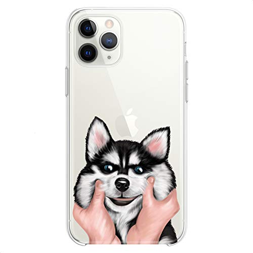 Charming Husky