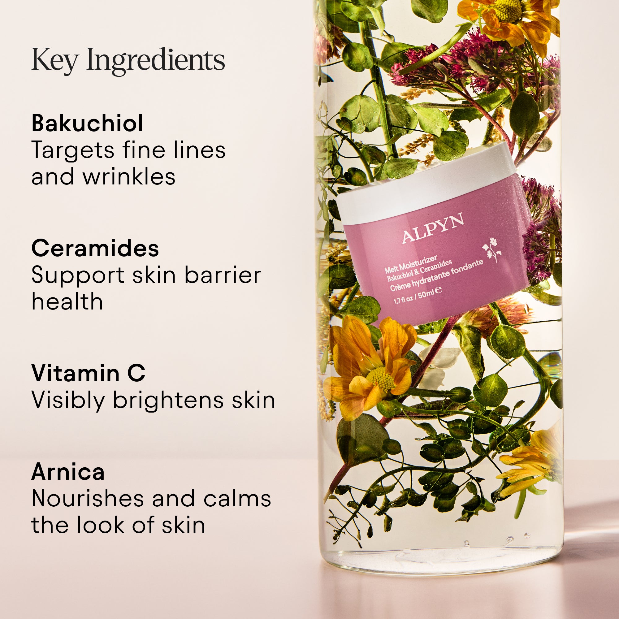 Melt Moisturizer - Hydrating Face Cream for Dry Skin | Natural Ingredients for Deep Moisture | Perfect for Daily Skincare Routine & Nighttime Hydration