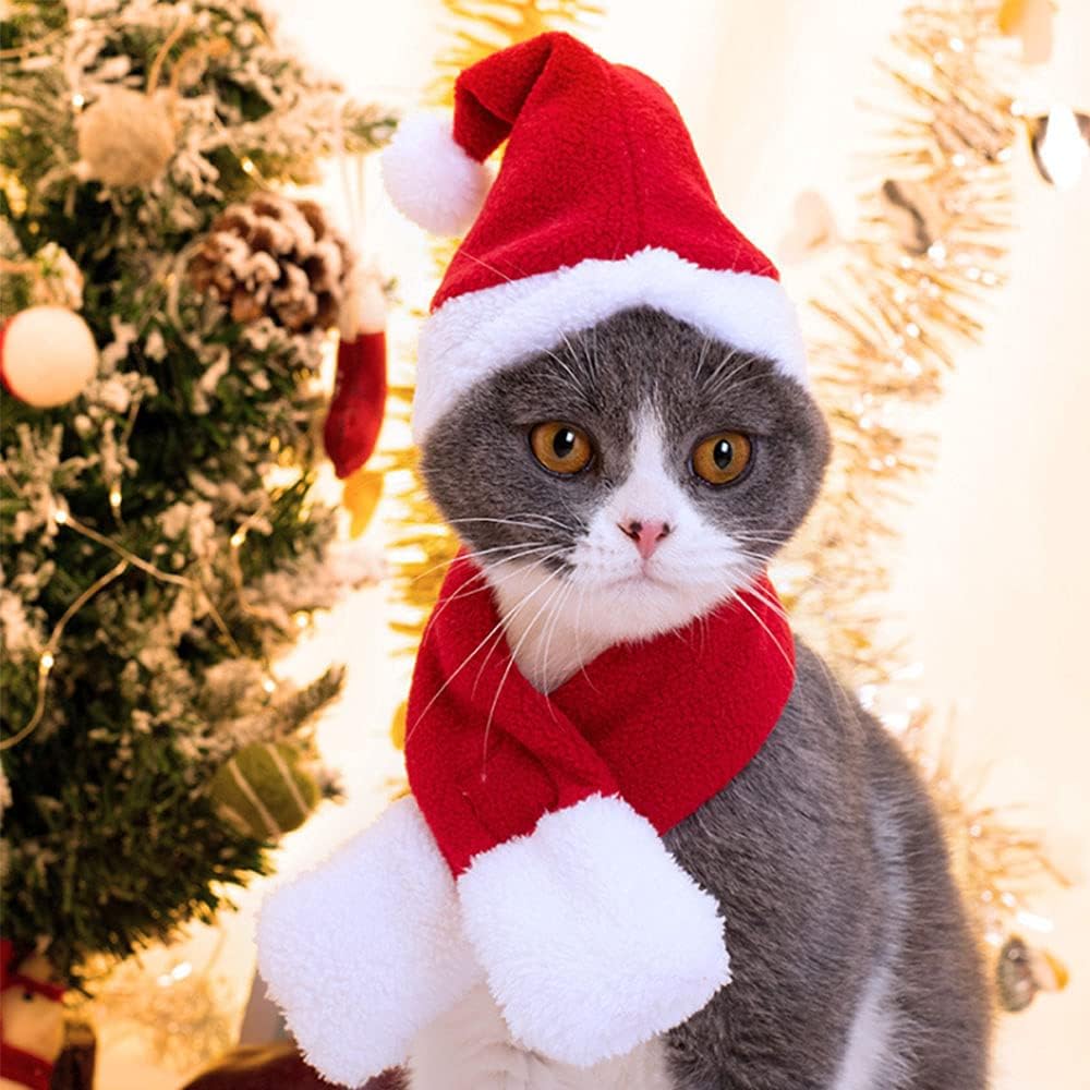 Festive Pet Santa Hats for Cats & Dogs - 2 Pack Red Christmas Costume Hats (5.5