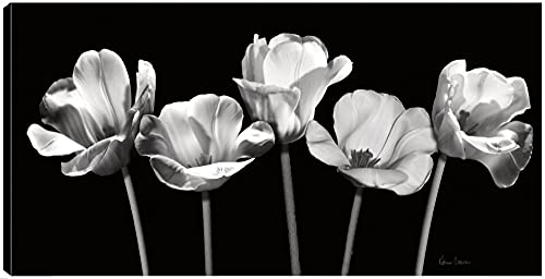 Tulips at Night