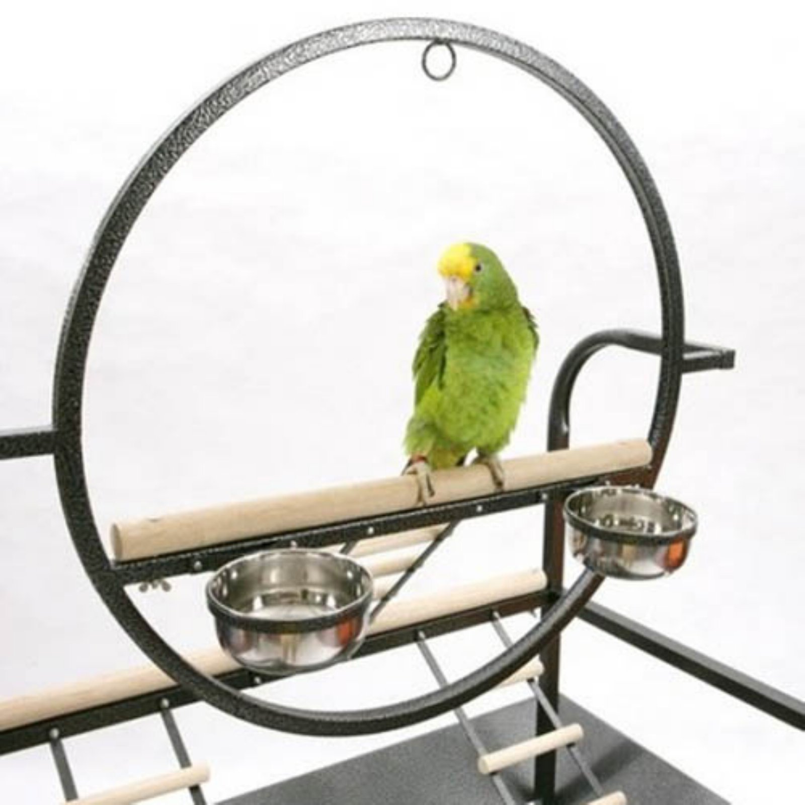 A&E Cage The O Parrot Play Stand - Durable Metal Bird Perch for Small & Medium Birds - Perfect for Playtime, Training & Cage-Free Exercise