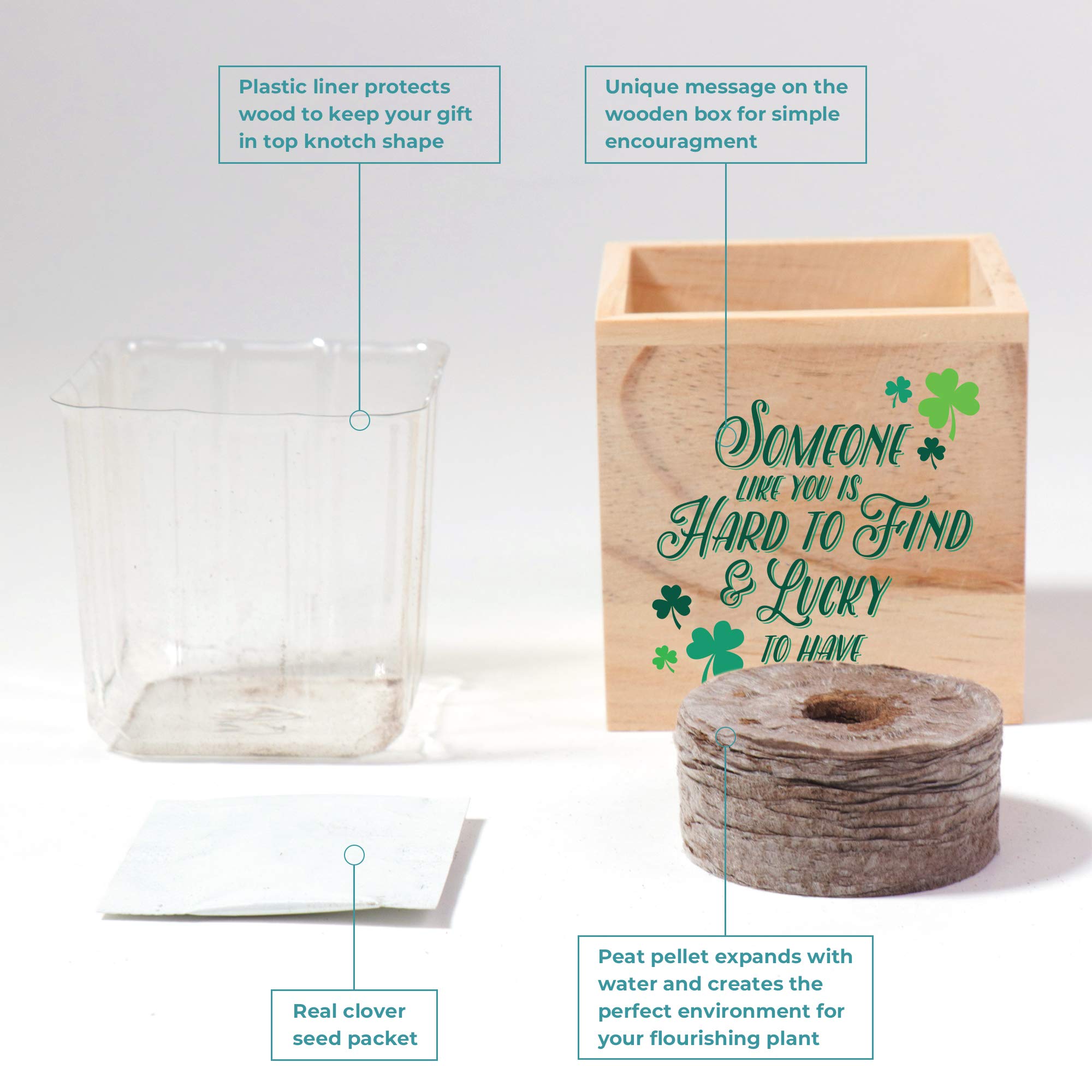 Cheersville 10-Pack Clover Plant Cube Appreciation Gift Set with Seed Packet, Peat Pellet & 3-inch Wooden Planter - Unique Employee Thank You Gifts, Office Decor & Desk Plants for Workplace Motivation