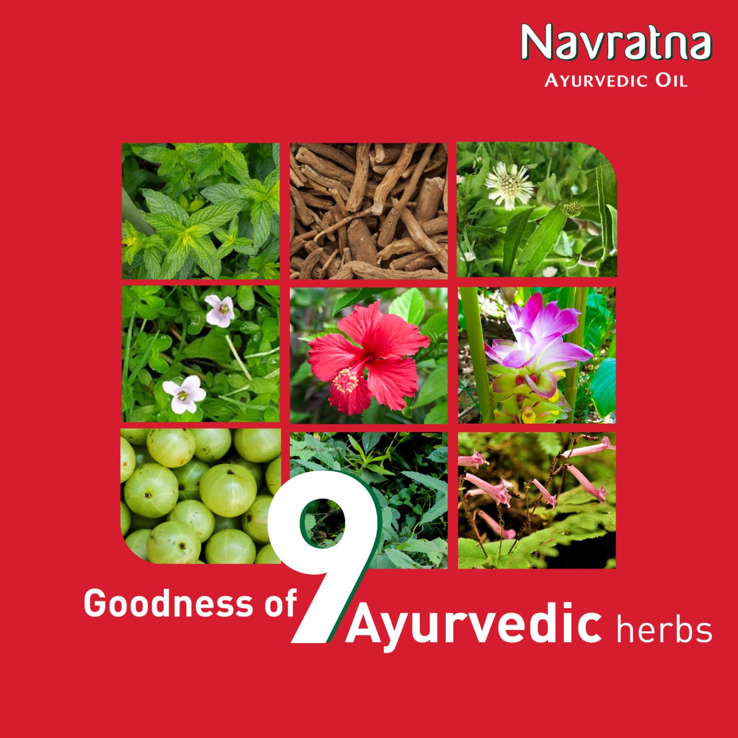 Navratna Ayurvedic Cool Oil - 9 Herbal Blend for Headache Relief, Stress & Sleeplessness | Natural Scalp Care & Muscle Relaxation | 500ml Cooling Oil for Massage, Meditation & Daily Wellness