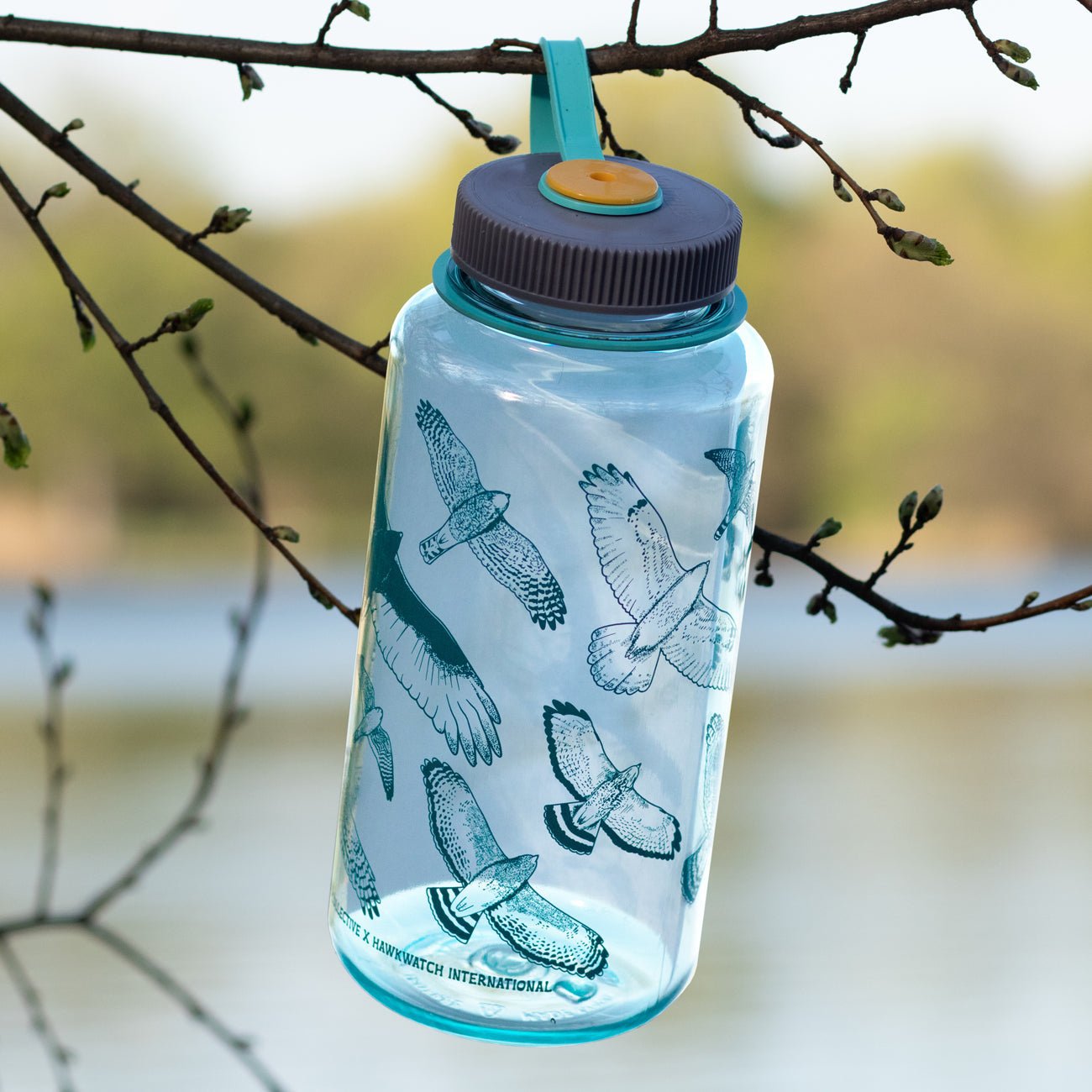 Hawks in Flight Nalgene Water Bottle 32oz - BPA-Free Leakproof Wide Mouth Water Bottle for Hiking, Camping & Outdoor Activities - Seafoam Green