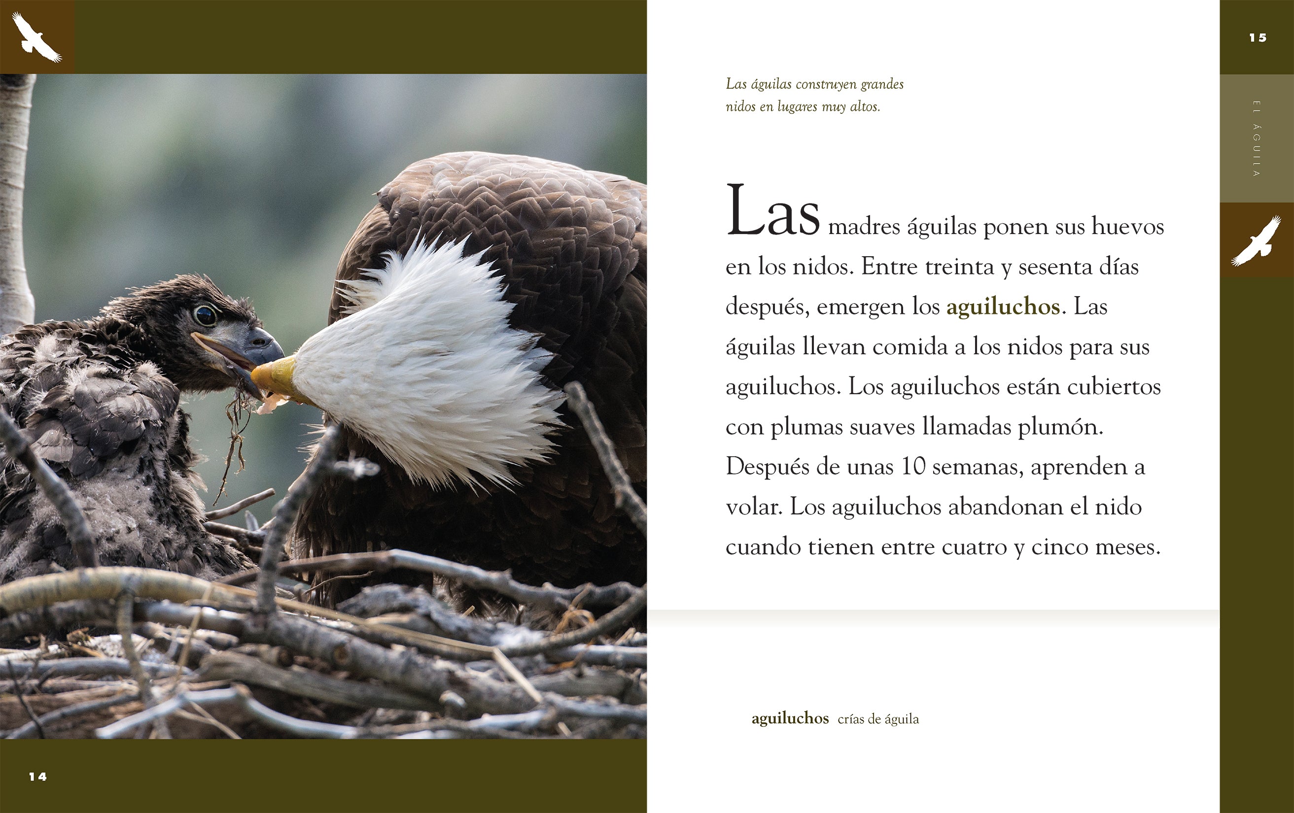 El Aguila 9781640264649 - Spanish Book for Kids & Adults - Perfect for Learning Spanish, Gifts, and Classroom Use
