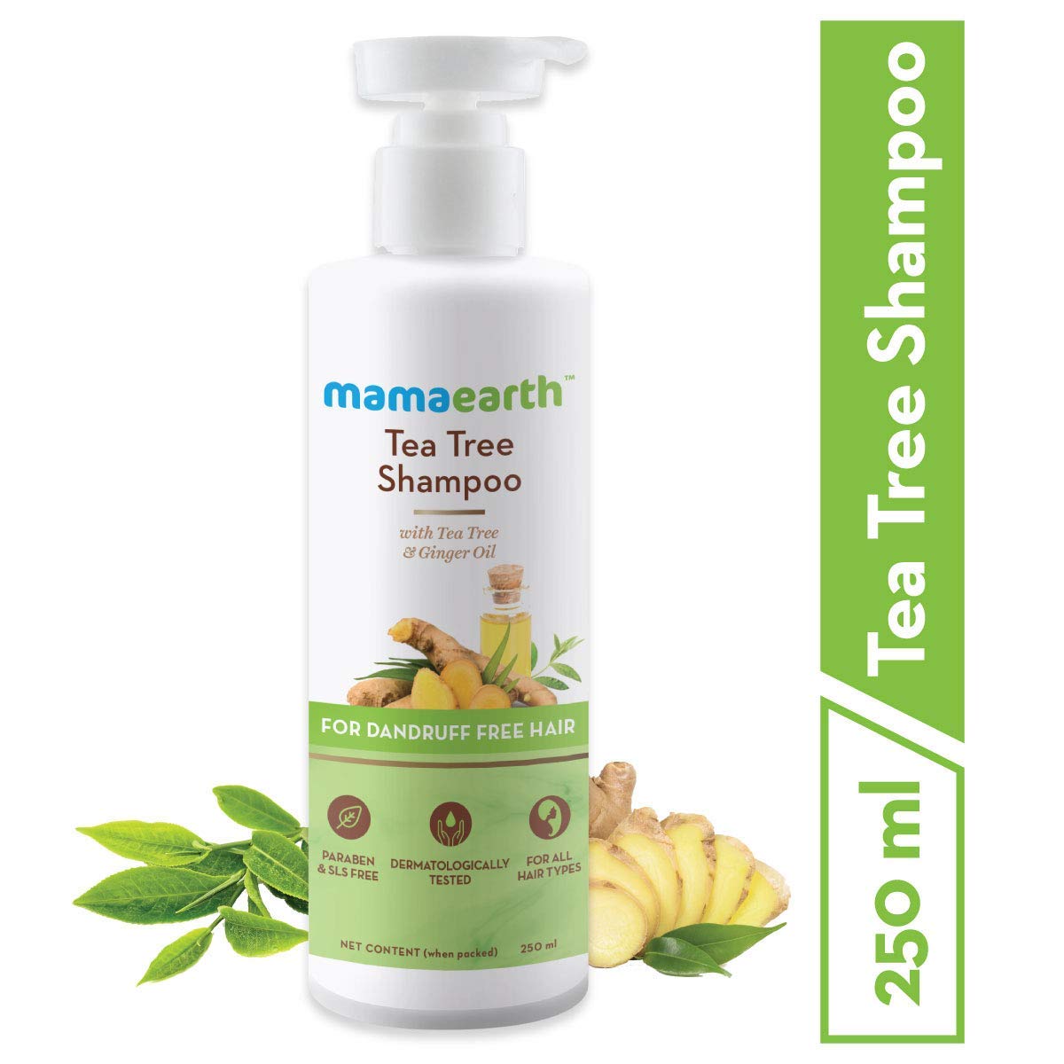 Mamaearth Tea Tree Anti Dandruff Shampoo with Tea Tree & Ginger Oil - 250ml | Soothes Scalp & Controls Flakes for Healthy Hair | Perfect for Daily Use & Sensitive Scalp Care