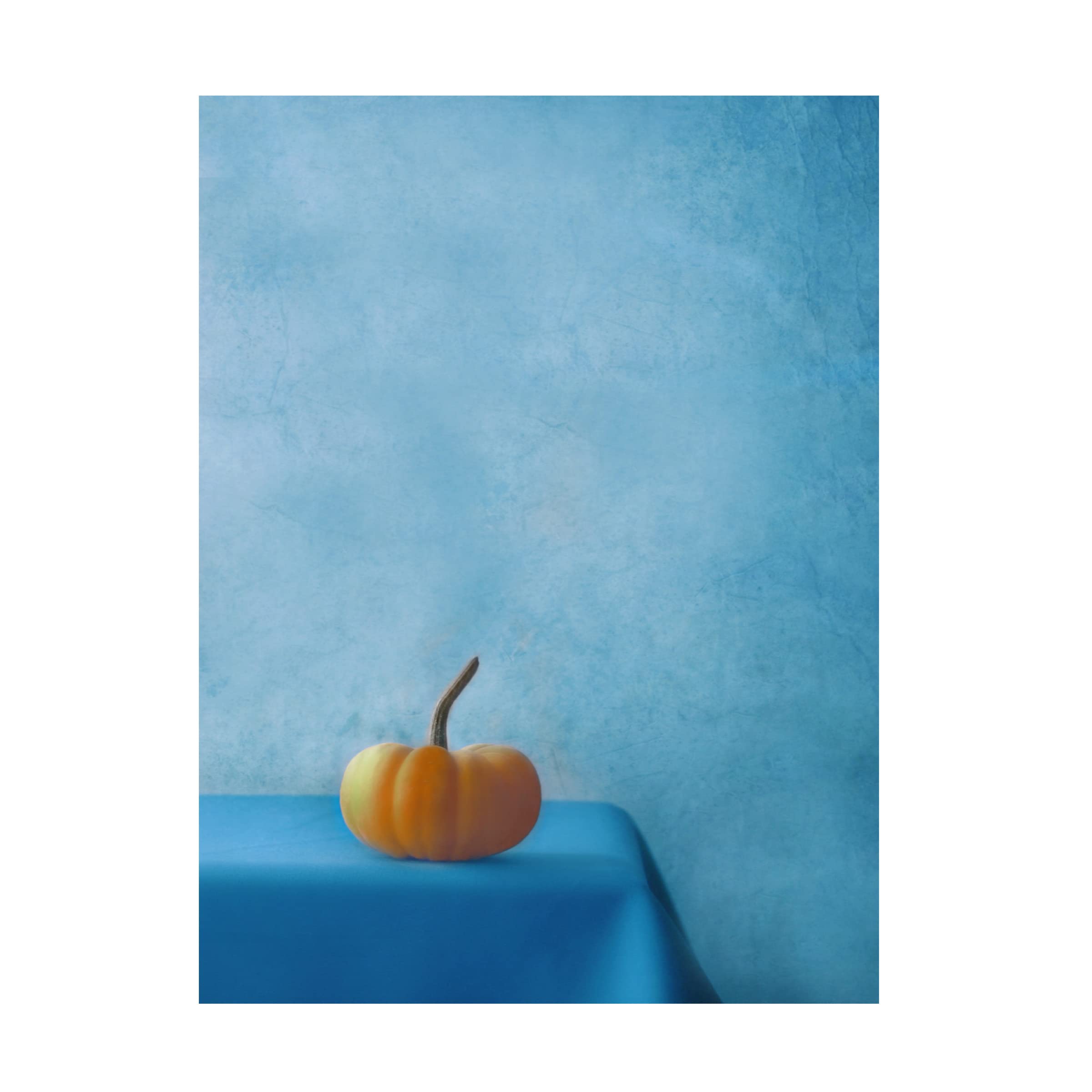 Trademark Fine Art 'Pumpkin On Blue' Canvas Wall Art Print by Delphine Devos - Modern Home Decor for Living Room, Bedroom & Office