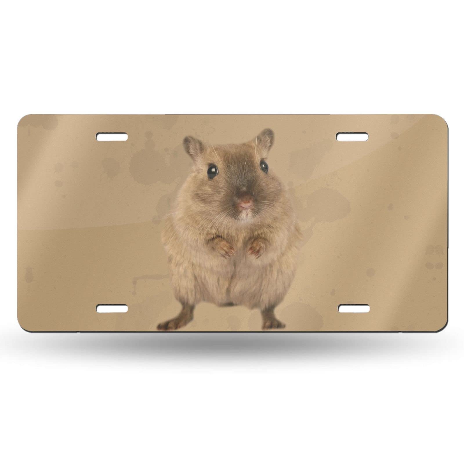 Funny Hamster Car License Plate - 6x12 Inch Aluminum Novelty Front Plate for Cars, Trucks & SUVs - Perfect Gift for Pet Lovers & Car Enthusiasts - Great for Road Trips, Car Shows & Personalizing Your Vehicle