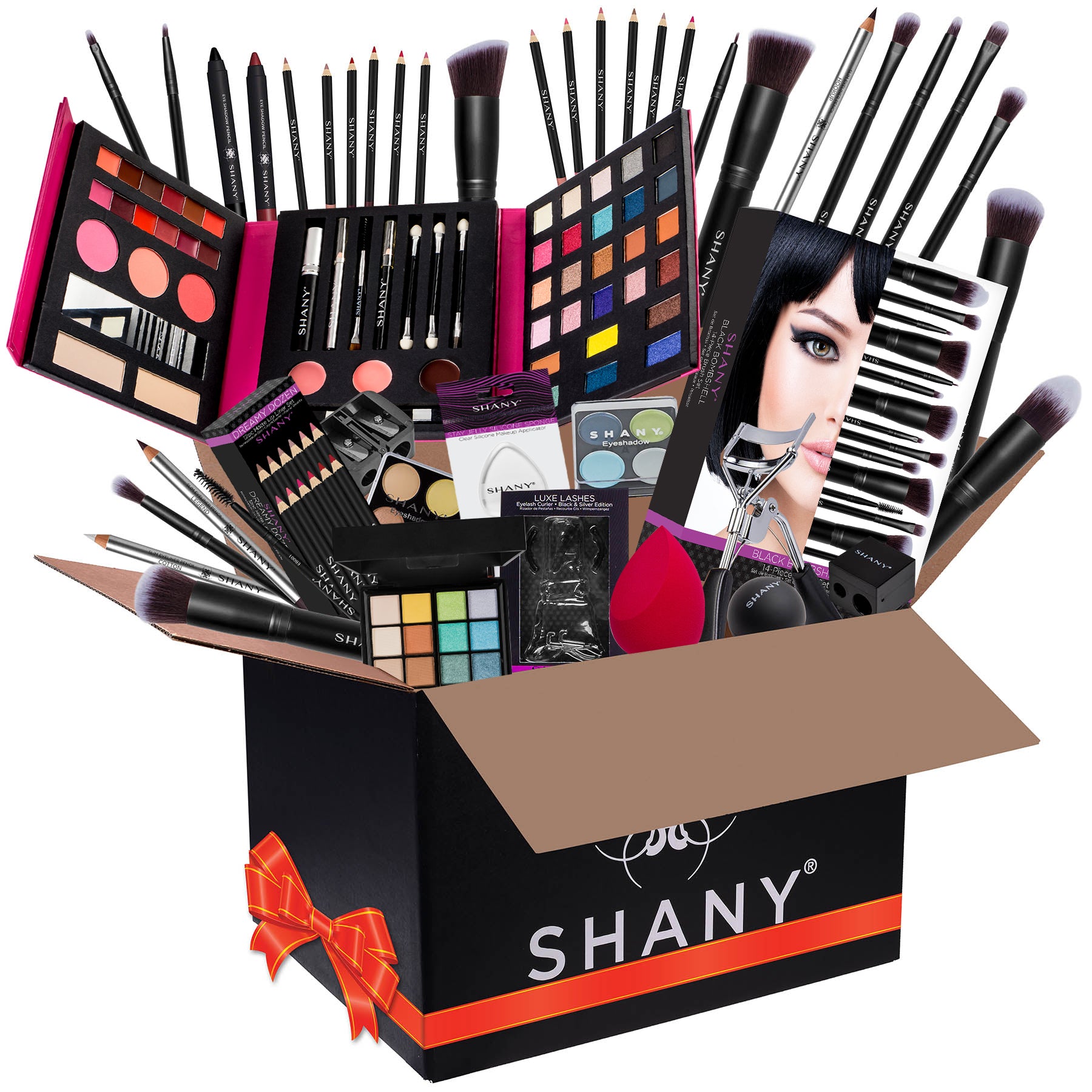 SHANY Professional Makeup Kit Set - 12 Piece Cosmetics Collection with Foundation, Eyeshadow & Brushes for Women | Perfect for Everyday Makeup, Party Looks & Professional Makeup Artists